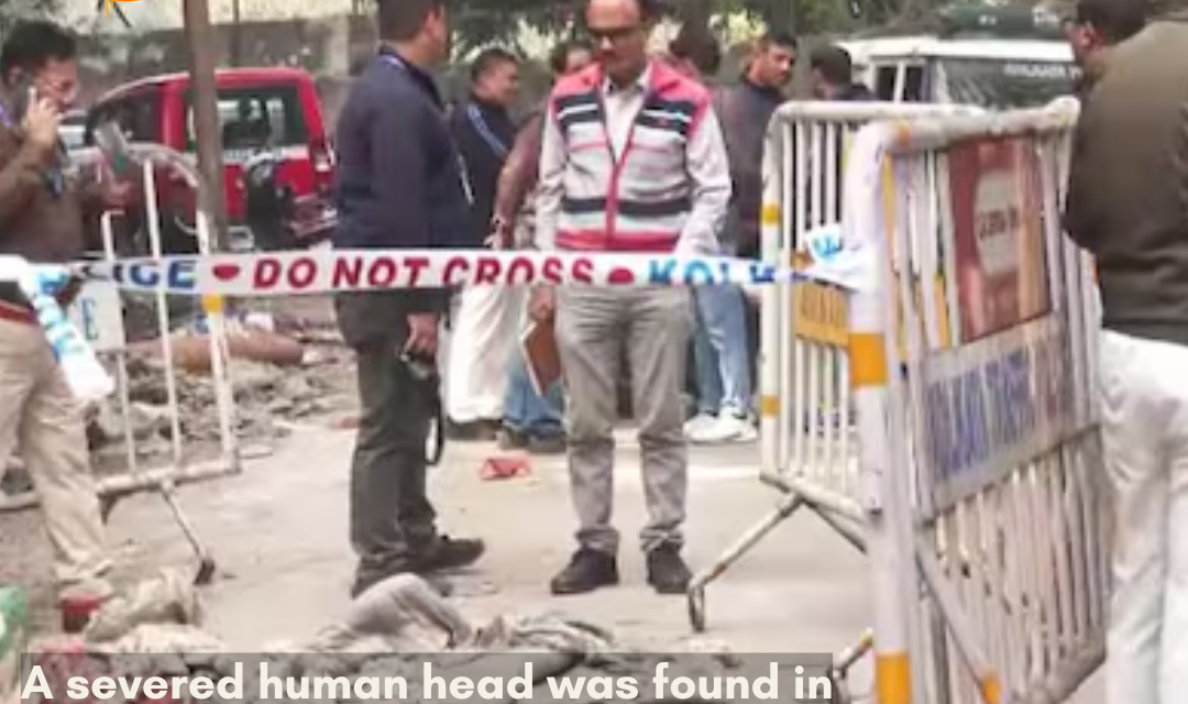 In a garbage dump, a human head was found, which is suspected to be of a woman.