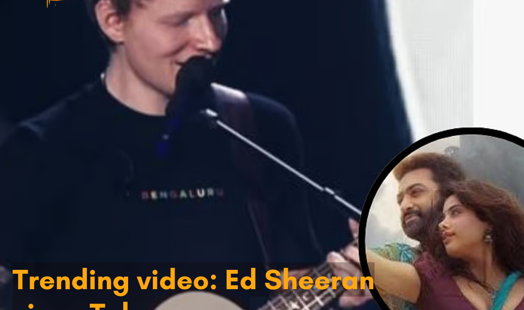 At the Bengaluru live concert, Ed Sheeran surprised fans by singing Chuttamalle.