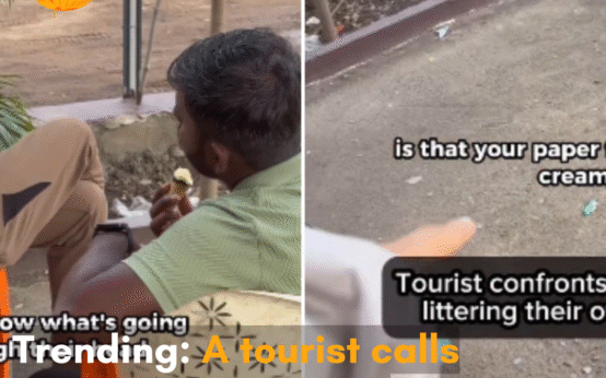 The viral video shows a tourist calling out littering in India; the internet applauds her bold move.