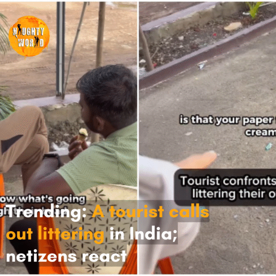 The viral video shows a tourist calling out littering in India; the internet applauds her bold move.