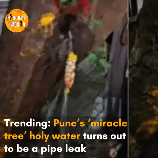 Video of locals collecting the ‘holy water’ from the miracle tree draws criticism from netizens, calling it the ‘height of superstition.’