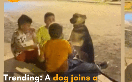 A video of a dog joining a group of little boys has gone viral on the internet.