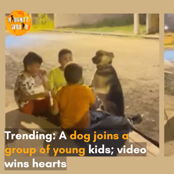 A video of a dog joining a group of little boys has gone viral on the internet.