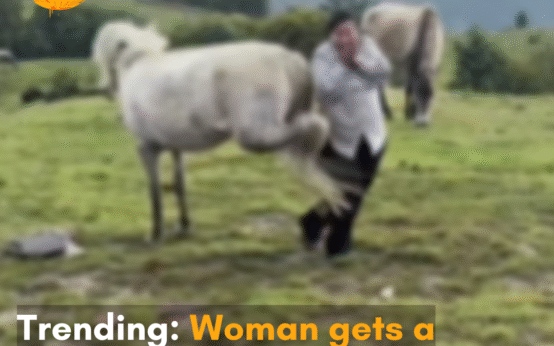 Netizens say “kickass performance” after a woman gets kicked by a horse in her dance video.