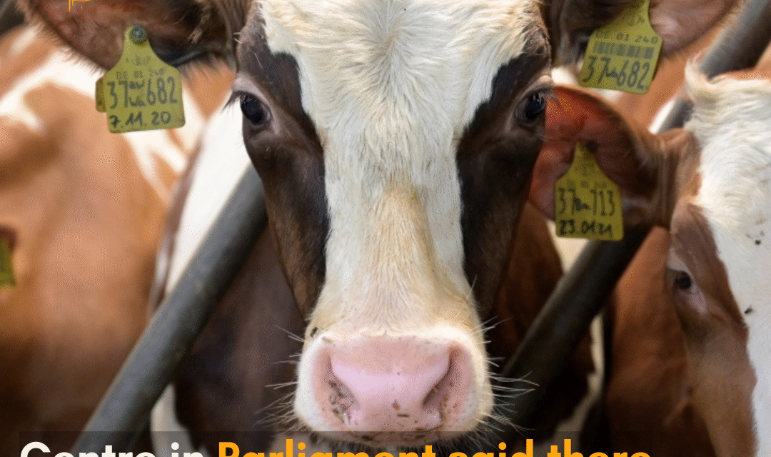 S P Singh Baghel said that there is no plan to declare cow as the national animal of India.