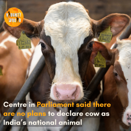S P Singh Baghel said that there is no plan to declare cow as the national animal of India.