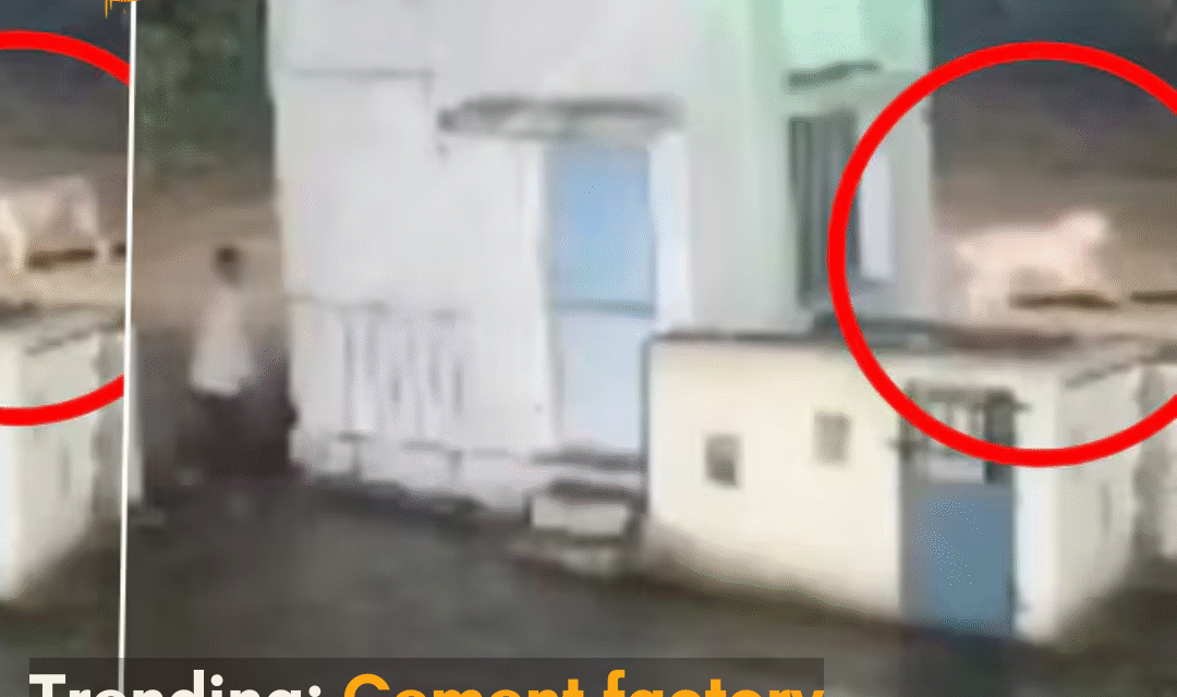 The footage that has gone viral has amused netizens after the man and the lion came face-to-face in Gujarat’s Junagadh cement factory.