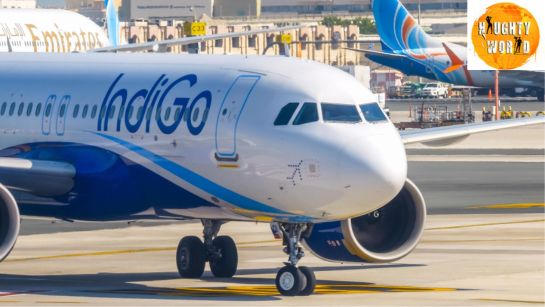 After mass IndiGo cancellations, four inspectors who oversee flight ops were sacked