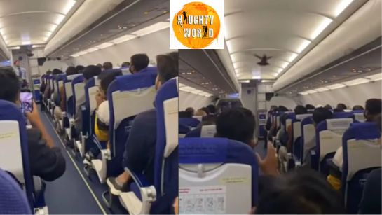 Trending: A pigeon entered a Bengaluru-Vadodara IndiGo flight, causing chaos