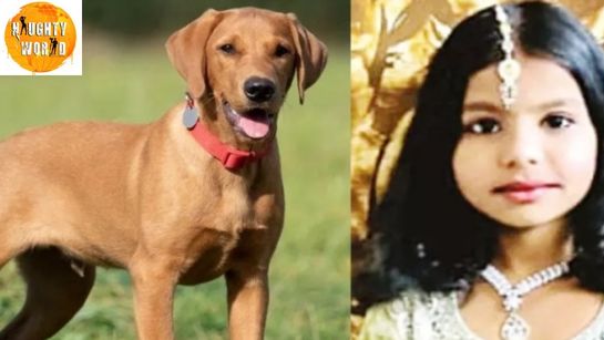 A 10-year-old girl in Bagalkot dies after a stray dog attack