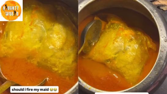 Trending House help’s mishap of cooking chicken with its packet garners online attention