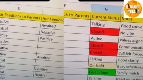 Trending Pune man tracks arranged marriage matches on an Excel sheet