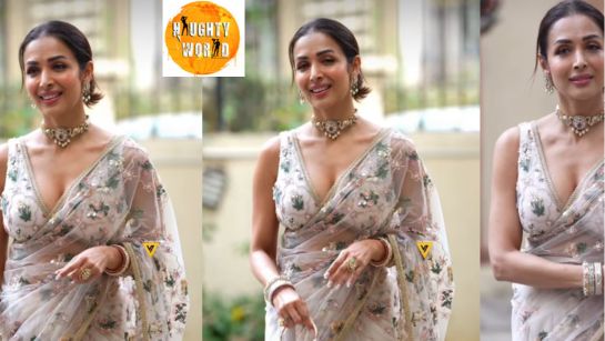 Malaika Arora stuns in a dreamy saree at KritikaKamra-Gaurav Kapur wedding
