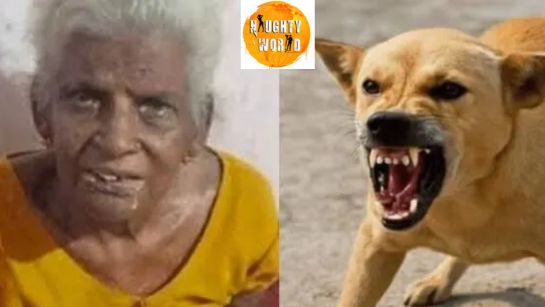 Post-mortem of Thrissur woman’s death after dog bite reveals it had rabies