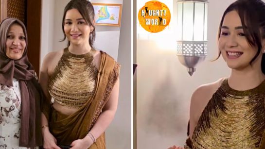 Sara Tendulkar, in unseen pictures, stuns in a metallic saree and statement blouse