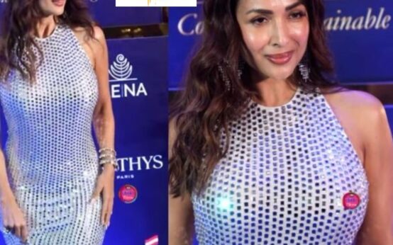 Malaika Arora turns heads in a mirror-work silver bodycon gown for an event