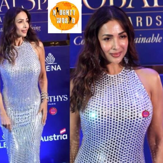 Malaika Arora turns heads in a mirror-work silver bodycon gown for an event