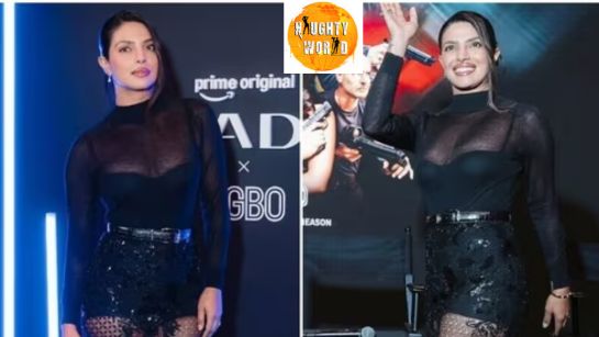 Priyanka Chopra stole the show in a sheer dress at the Citadel 2 creator screening