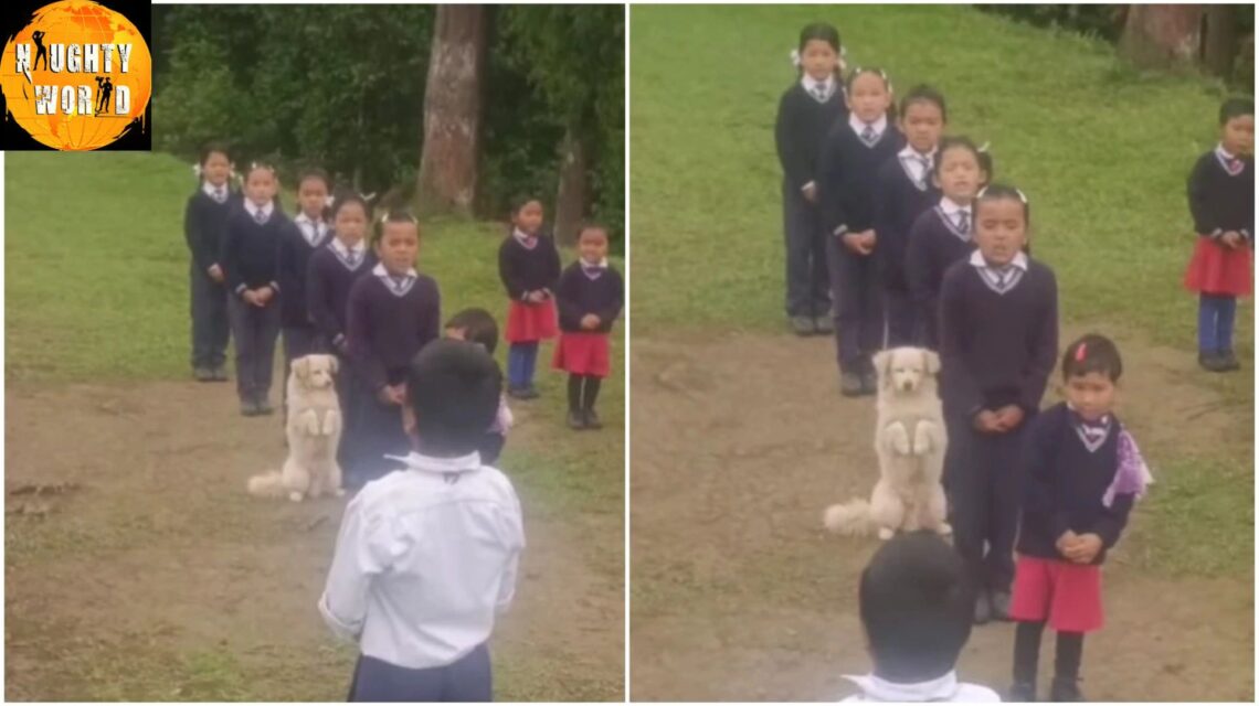Trending: A dog seen attending students’ prayer at Sikkim School