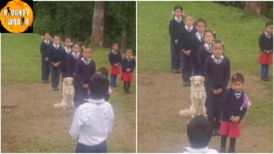 Trending: A dog seen attending students’ prayer at Sikkim School
