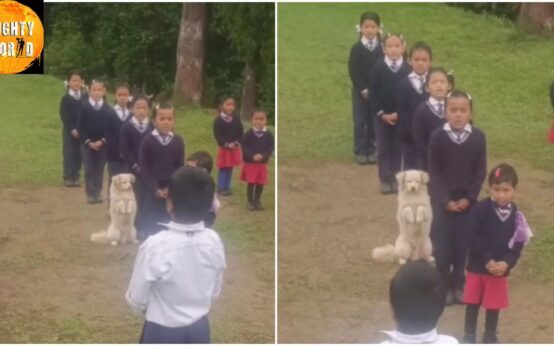 Trending: A dog seen attending students’ prayer at Sikkim School