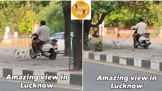 Trending: ‘Nawaabi style’ pet walk on a scooter in Lucknow goes viral