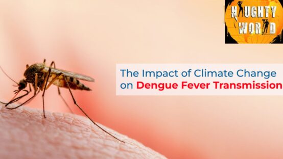 Climate Change and the Shifting Landscape of Dengue