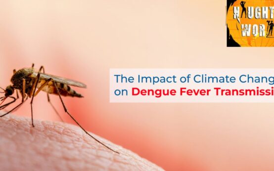 Climate Change and the Shifting Landscape of Dengue