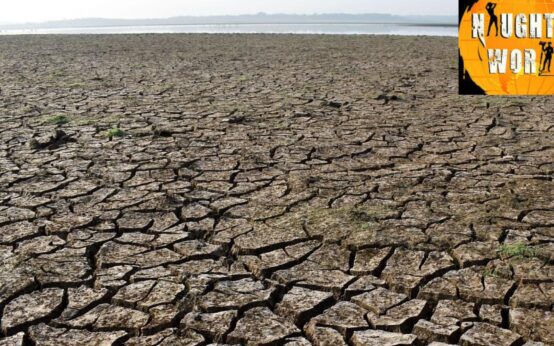 Monsoon Stalls India Faces Unusual June Dry Spell.