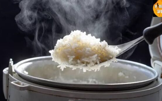 Rice at night Myth or Reality
