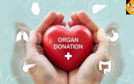 India’s organ transplant surge progress amid persistent donor shortage.