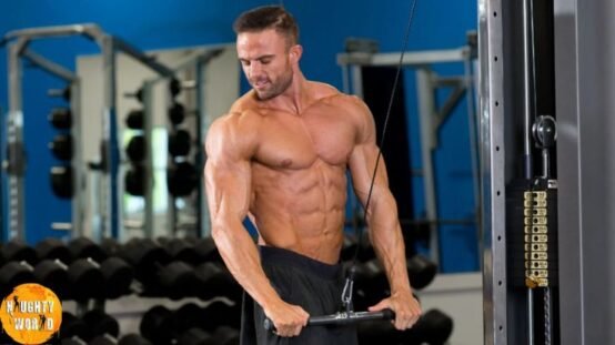 After reaching a certain point, muscle gain becomes the most essential part of a health plan.