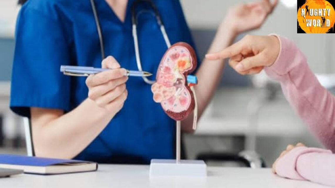 IIT Madras and CMC Vellore pioneer AI tools for kidney disease detection.
