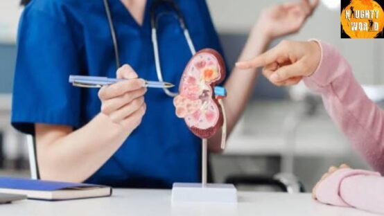 IIT Madras and CMC Vellore pioneer AI tools for kidney disease detection.