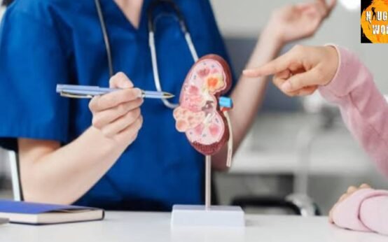 IIT Madras and CMC Vellore pioneer AI tools for kidney disease detection.