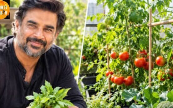 R Madhavan turned his Mumbai home balcony into an organic farm